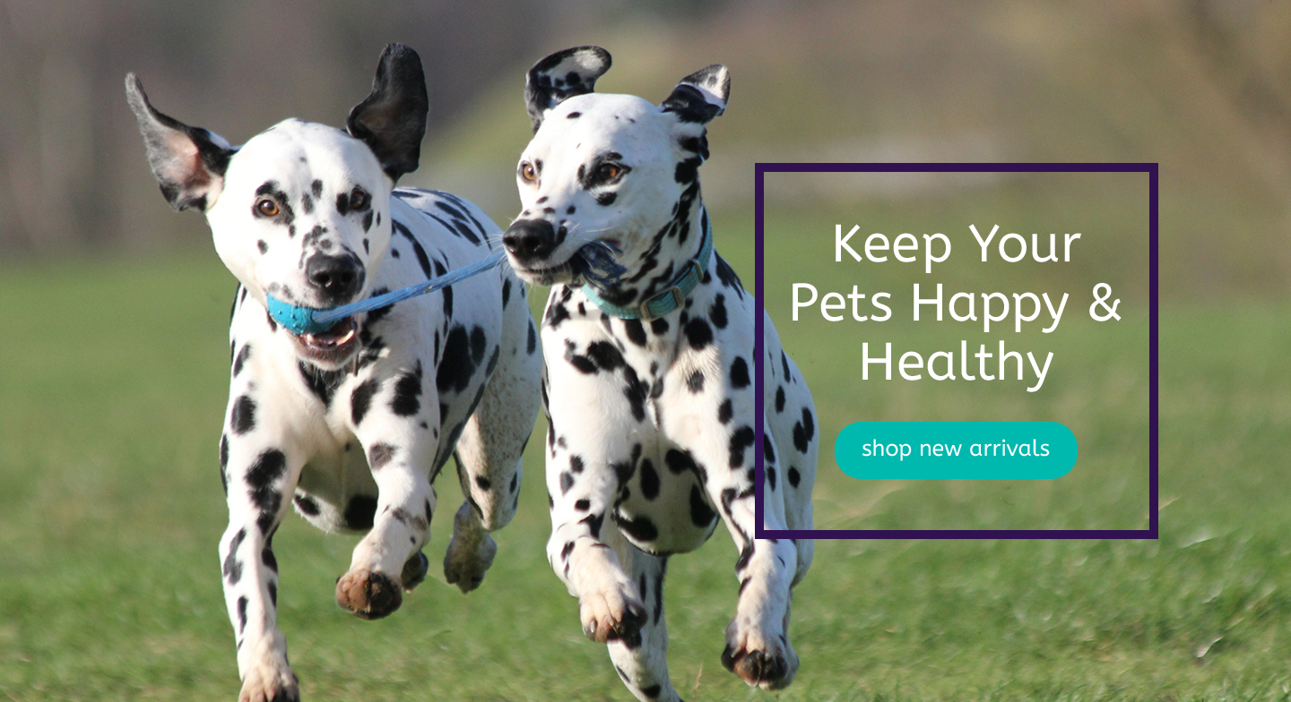 Keep your pets happy & healthy. Shop our products.